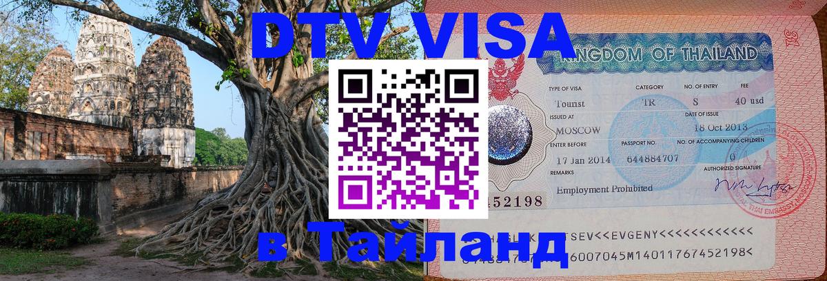 Сколько стоит DTV виза — актуальные цены, оформление даже без документов - Тамбов  19.11.2025 